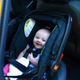 Why didn’t you get me a Recaro seat, papa? Photo: Author